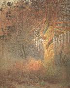 Emile Claus Tree in the Sun (nn02) oil on canvas